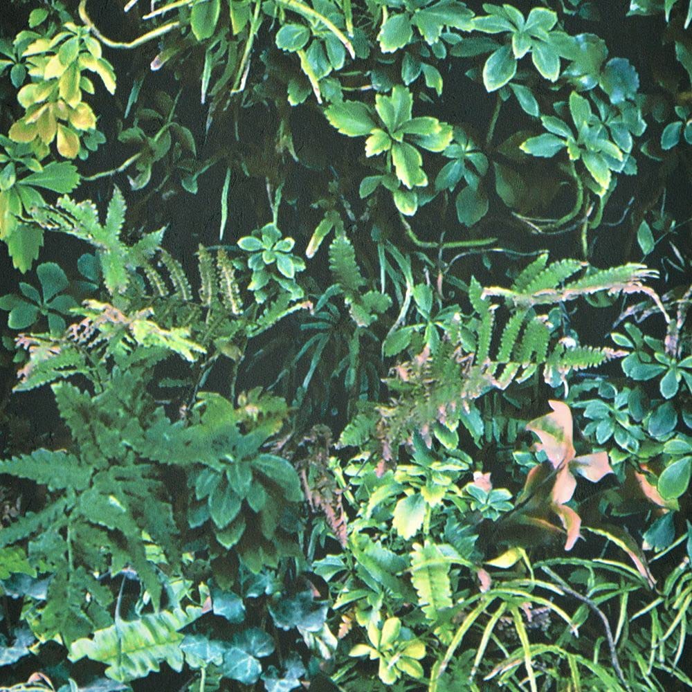 Amazon | 壁紙屋本舗 壁紙 クロス ボタニカル 植物柄 ウォール